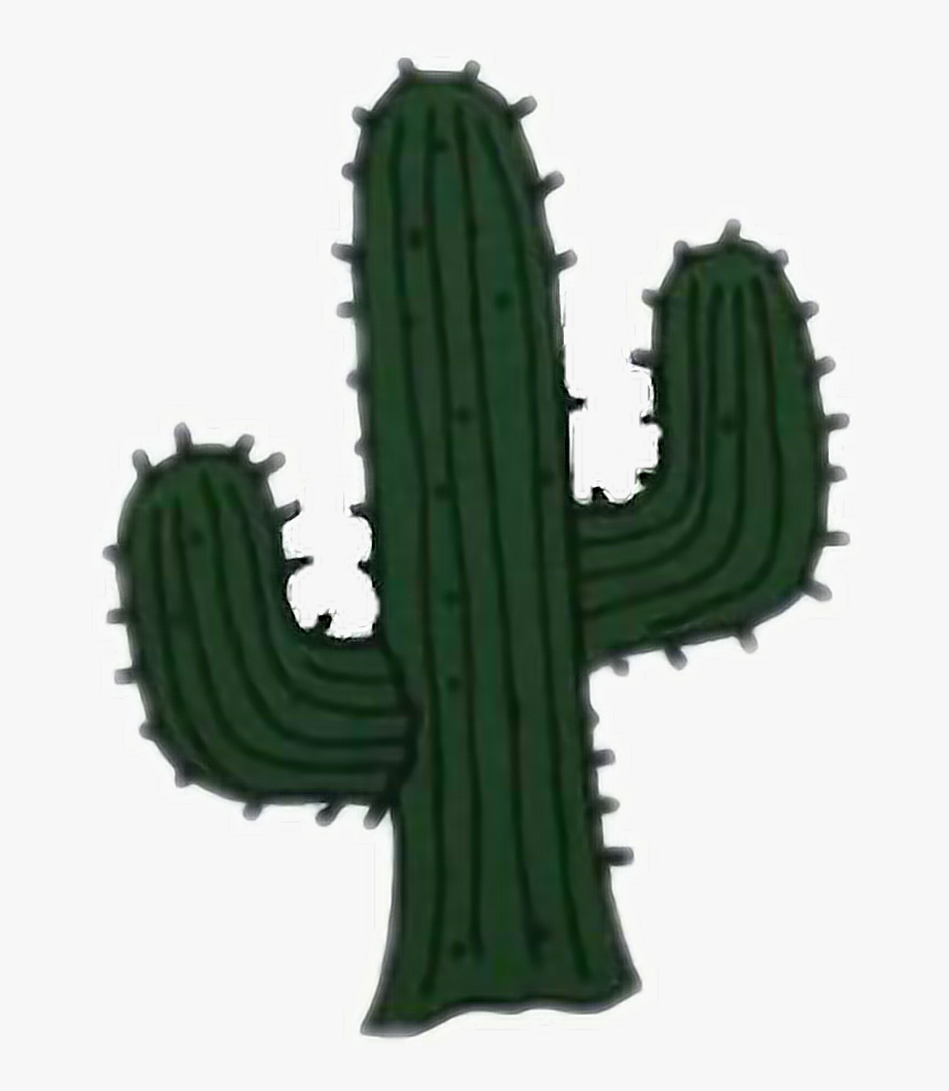 Cactus Clipart San Pedro - Cacto Tumblr Png, Transparent Png