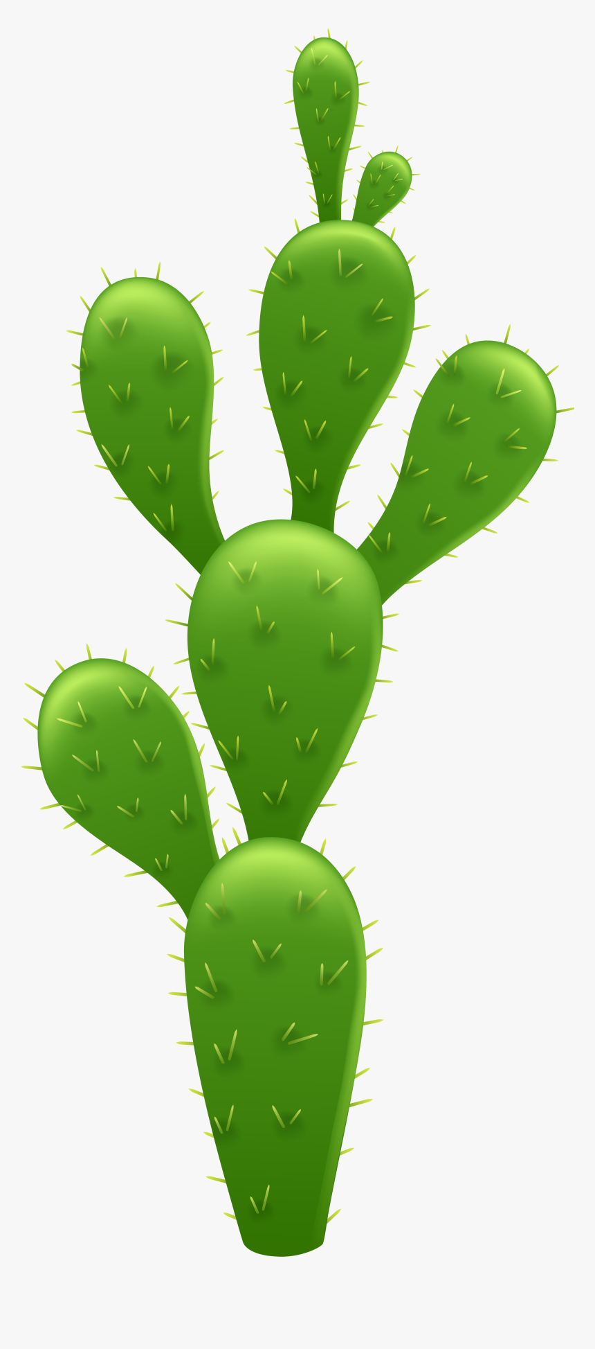 Cactus Transparent Background - Transparent Background Cactus Clipart, HD Png Download