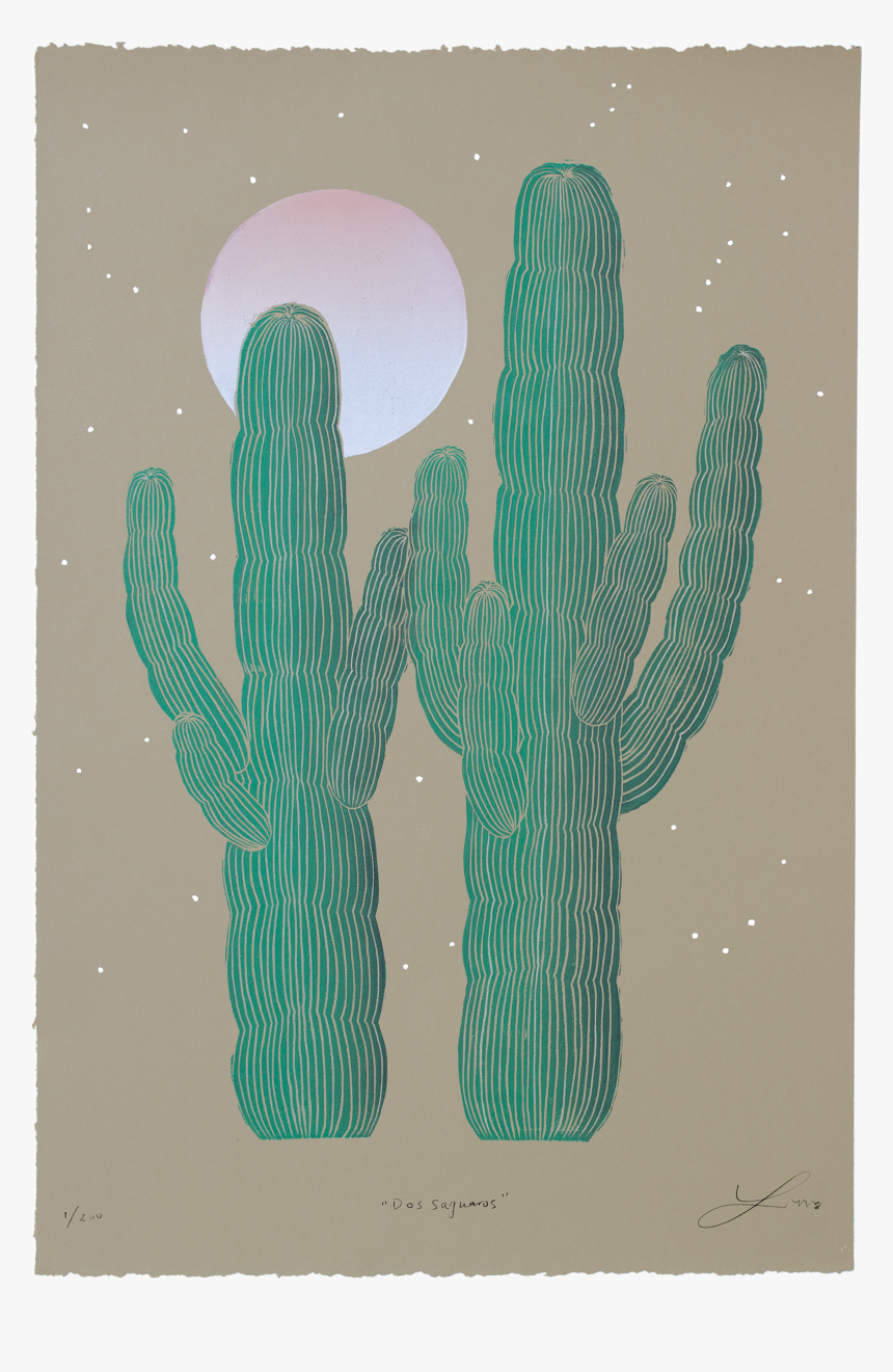 Pedro Cactus,succulent Cactus,illustration - Illustration, HD Png Download