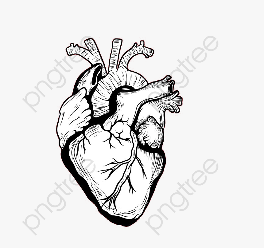 Fig Painted Black Heart, HD Png Download