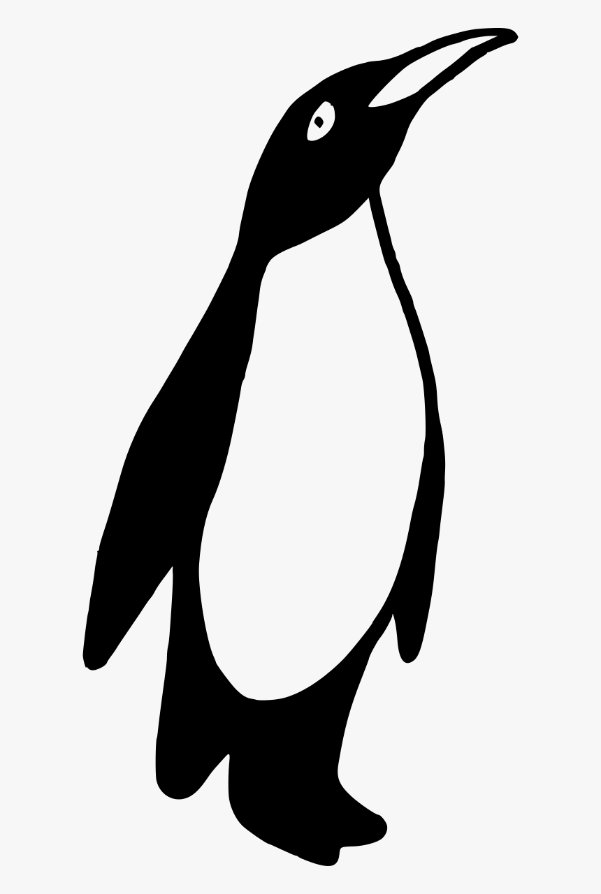 Penguins Images Black N White, HD Png Download
