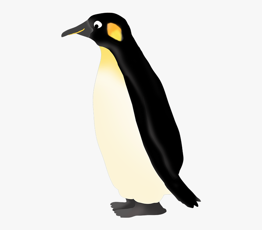 Transparent Emperor Png - King Penguin, Png Download