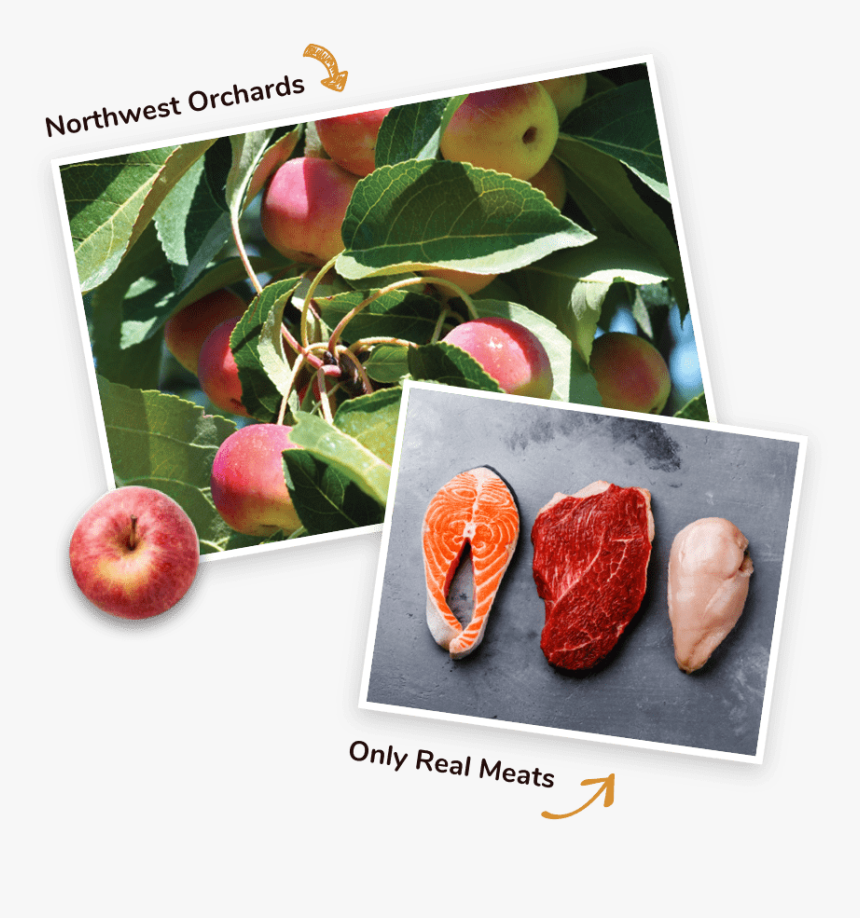 Real Meats And Fruits - Apple, HD Png Download