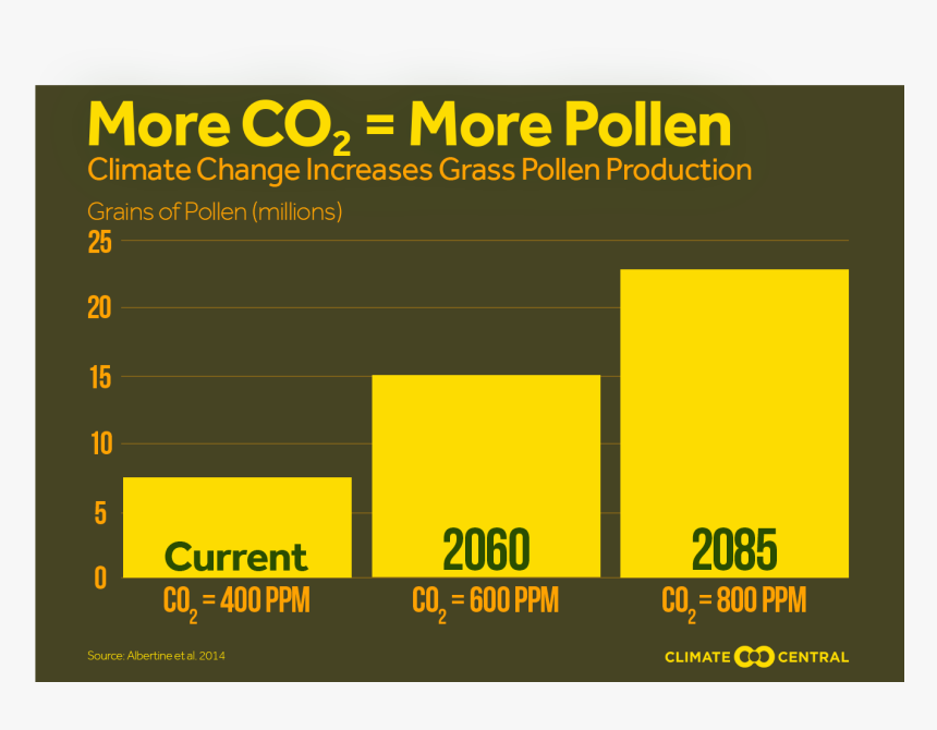 Colorfulness, HD Png Download