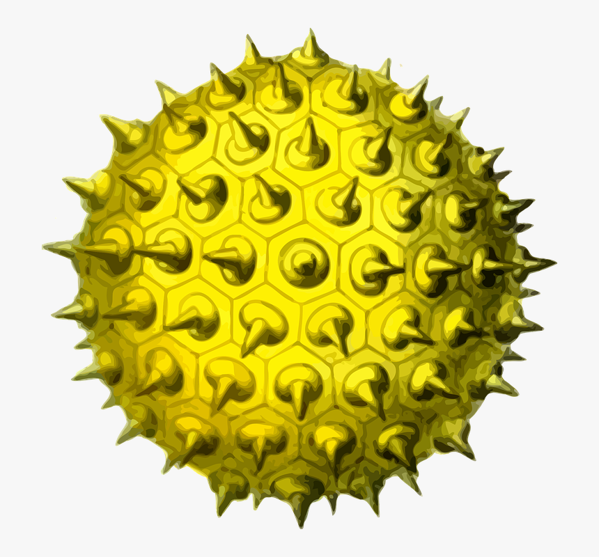 Grain Plant Pollen - Pollen Png, Transparent Png