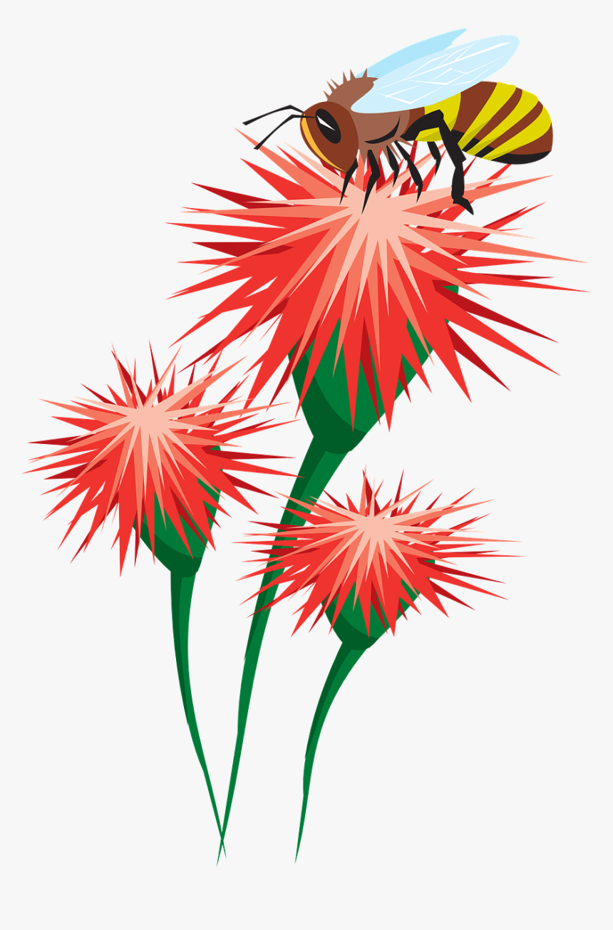 Bee On Flower Clipart, HD Png Download