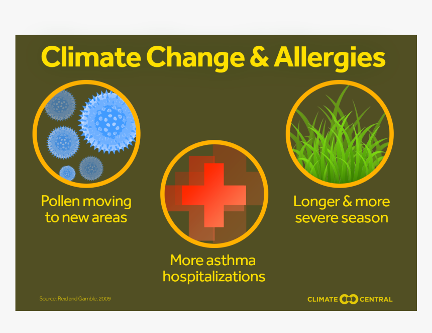 Allergies From Climate Change, HD Png Download
