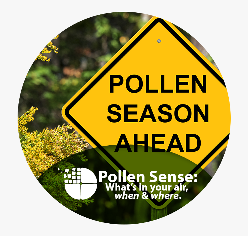 Pollen Sense What S In Your Air When And Where - Pollen Allergies, HD Png Download