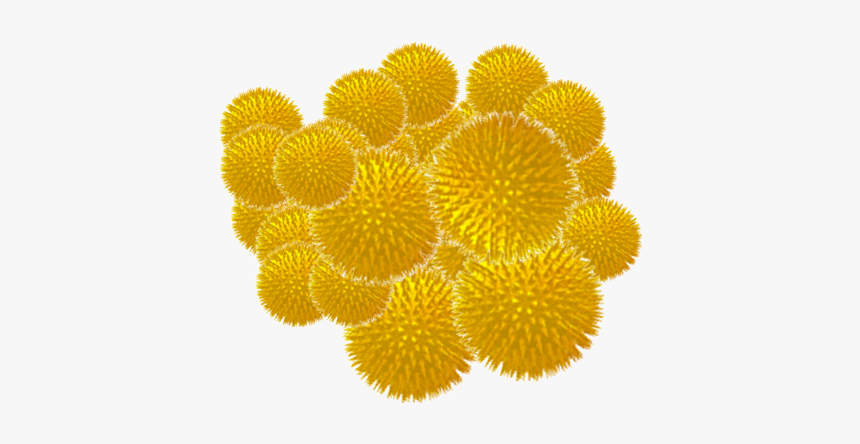 Pollen Capitol Shine Ceramic Pro Dc - Pollen Grains Under A Microscope, HD Png Download