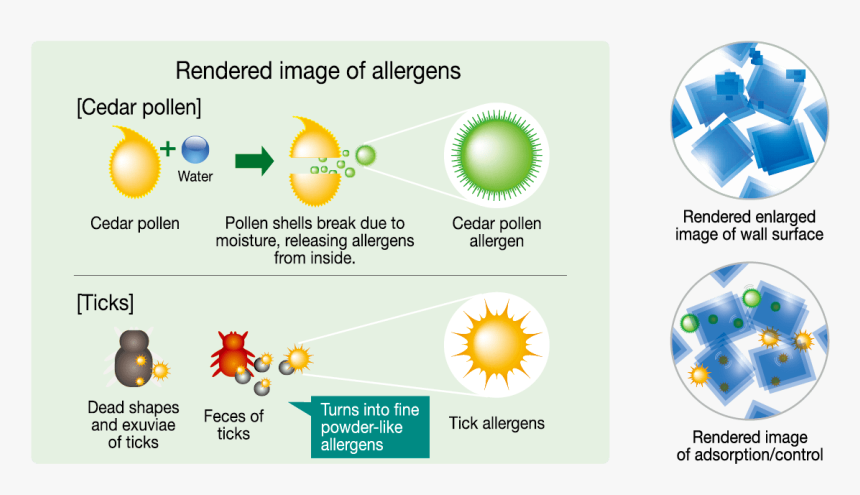 Circle, HD Png Download