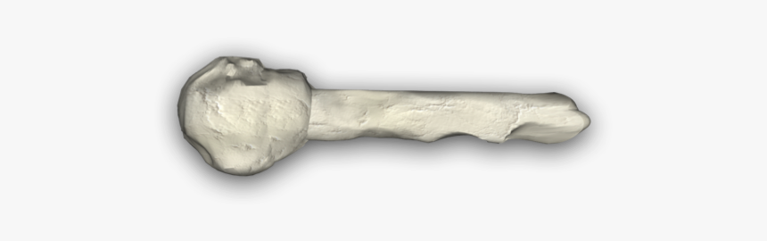 Bone Pile Png - Lacrosse Stick, Transparent Png