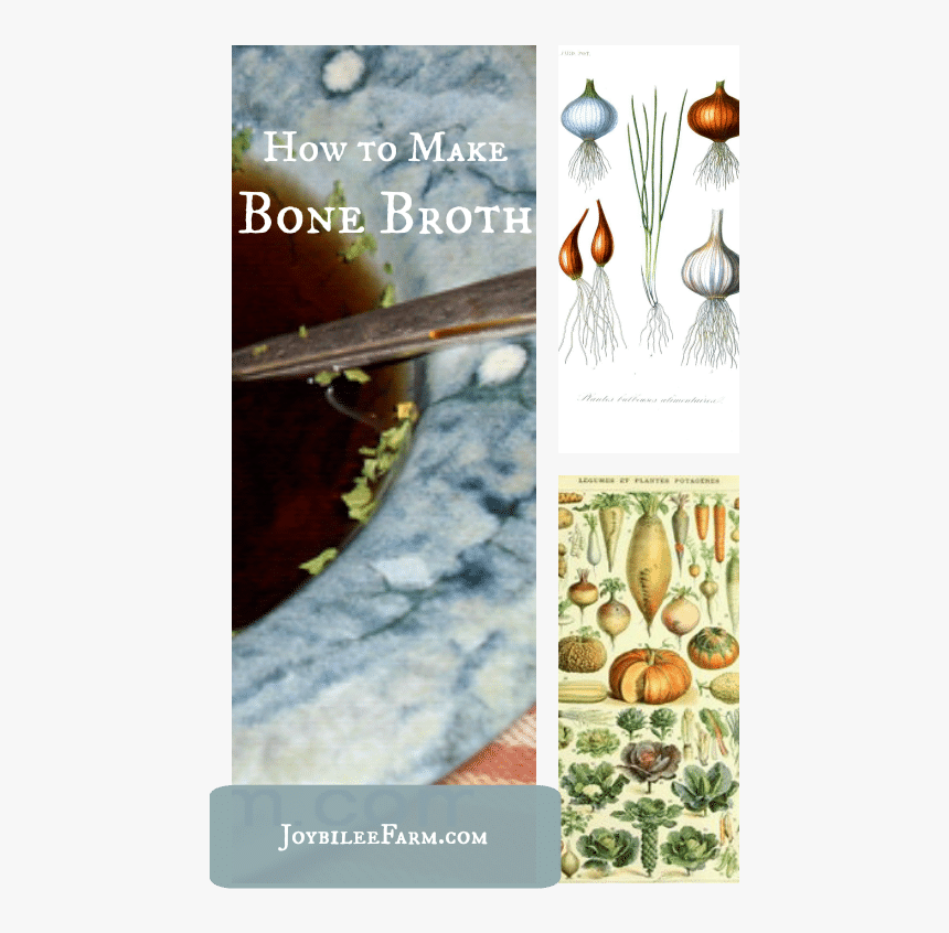 How To Make Bone Broth Joybilee Farm - Shell, HD Png Download
