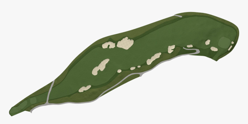 Transparent Blade Of Grass Png - Tree, Png Download