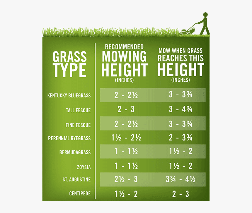 Lawn-mowing Height Chart - Mowed Grass Height, HD Png Download