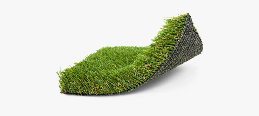 Hedge, HD Png Download