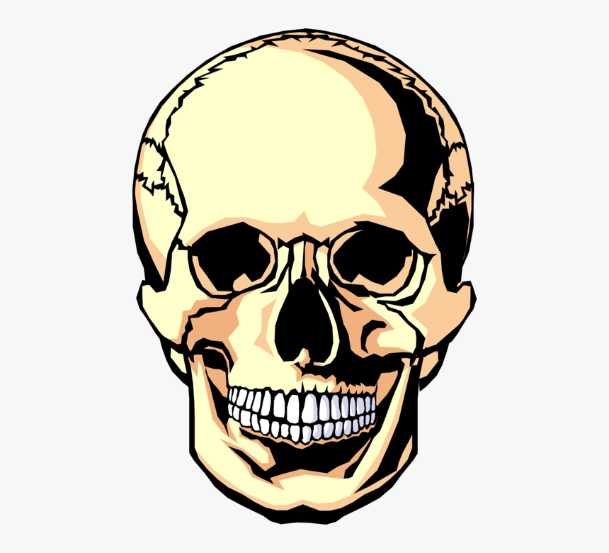 Vector Illustration Of Human Skull Head - Dia De Los Muertos Blank Skull, HD Png Download