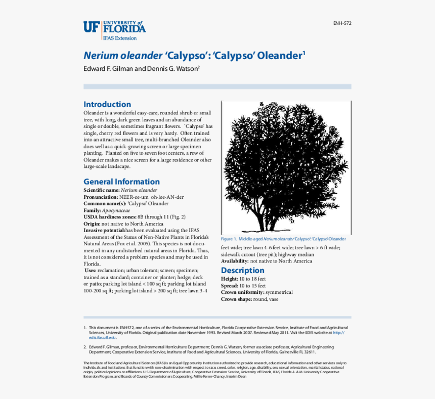 Pdf - Tree - University Of Florida, HD Png Download