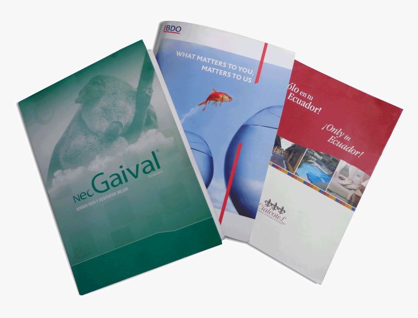 Diseño Carpetas Corporativas - Flyer, HD Png Download