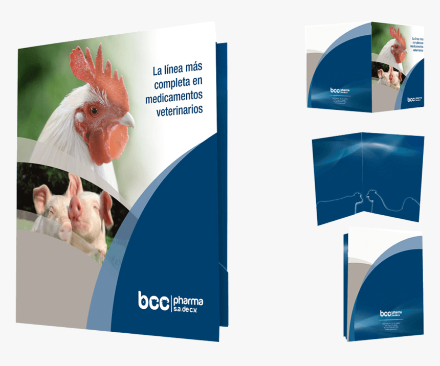 Brochure , Png Download - Diseño De Folders Institucionales, Transparent Png