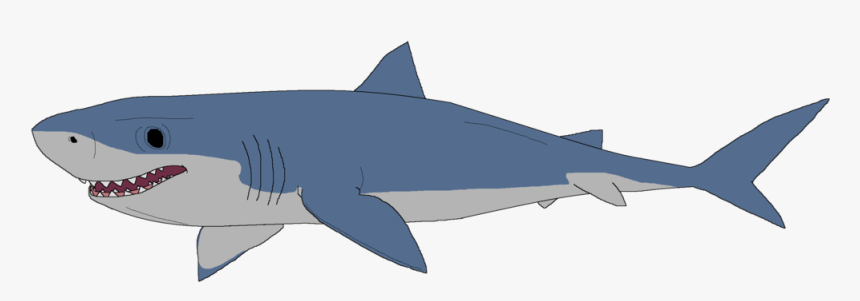 Clipart Of Great White Shark, HD Png Download