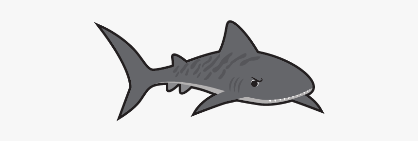 Norwood Swim School Tiger Shark, HD Png Download