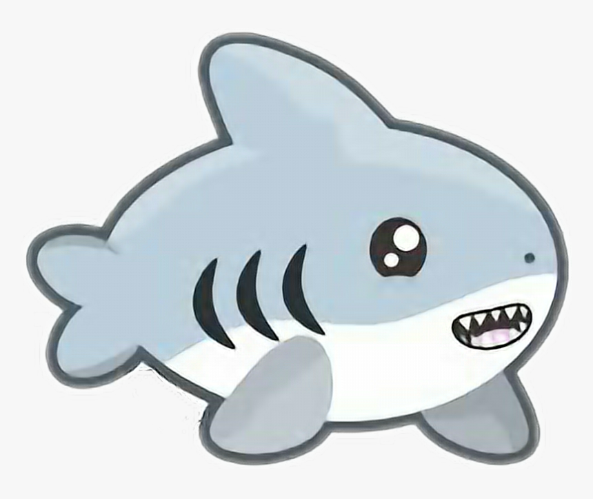#petsandanimals#cute #kawaii #requin #shark - Shark Kawaii, HD Png Download