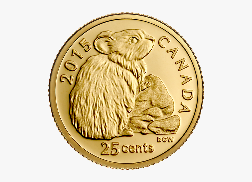 Coin, HD Png Download