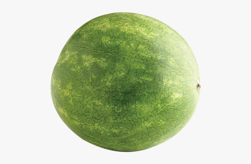 Whole Watermelon - Watermelon, HD Png Download