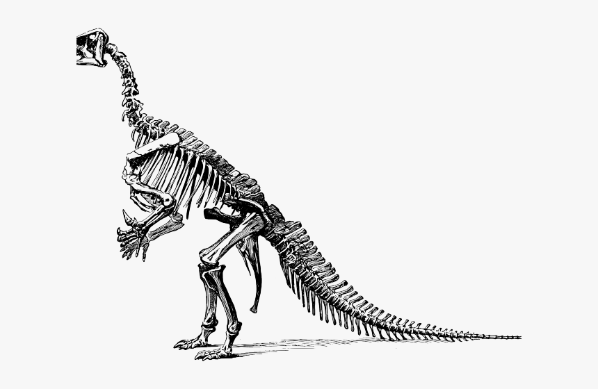 Velociraptor Clipart Cute Dinosaur - Dinosaurs Didn T Read Now They Re Extinct Poster, HD Png Download