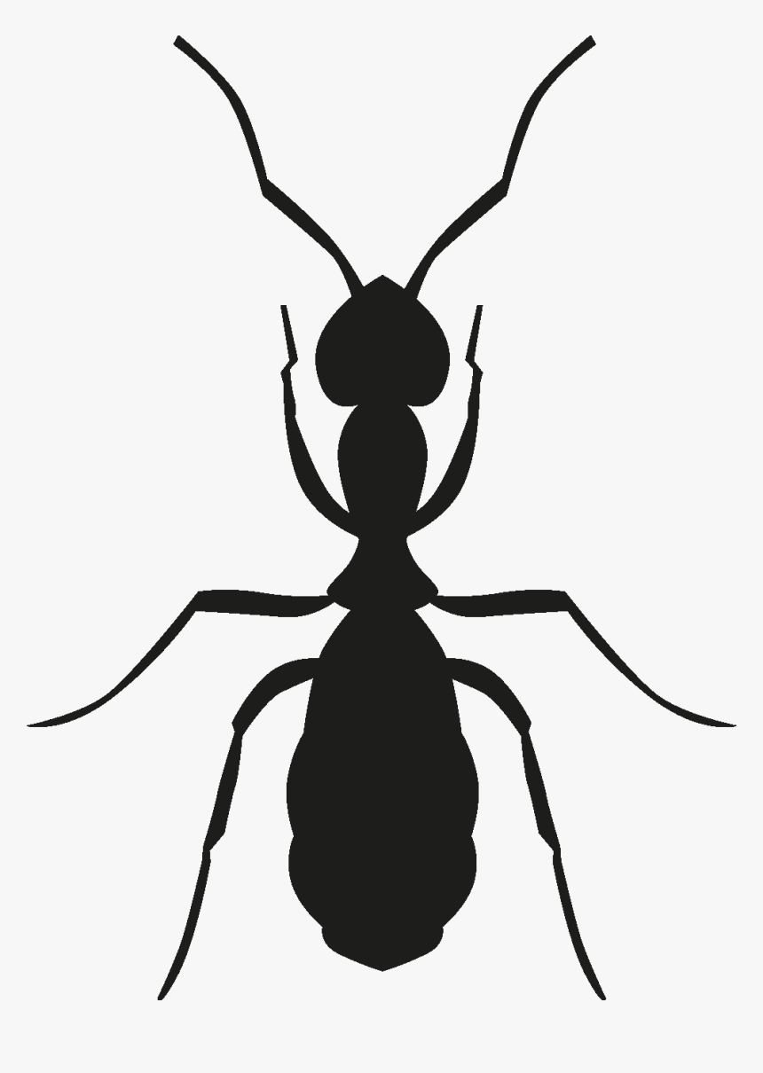 Insects Set [silhouette] Png, Transparent Png