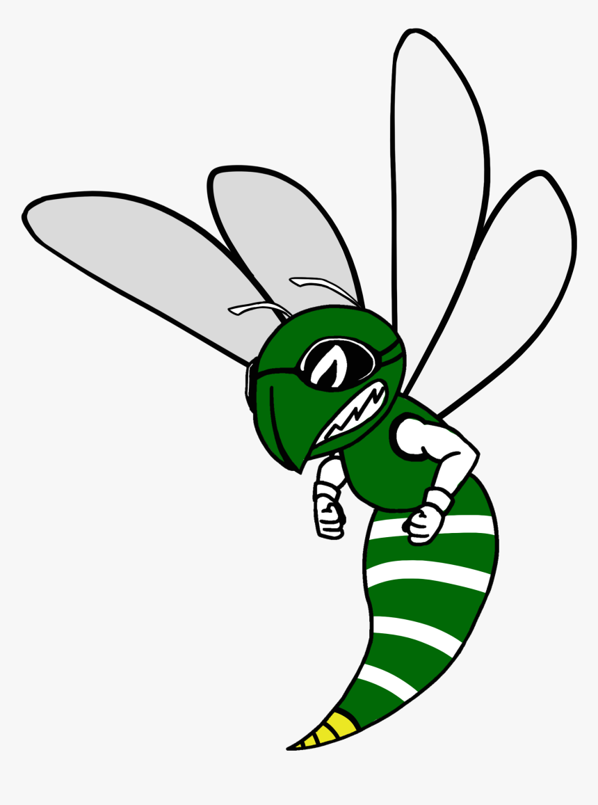 Support Our Teams - Net-winged Insects, HD Png Download
