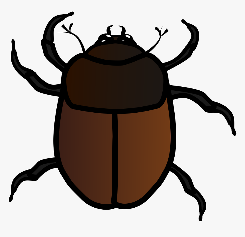 Insects Clipart Desert Insect - June Bug Clip Art, HD Png Download