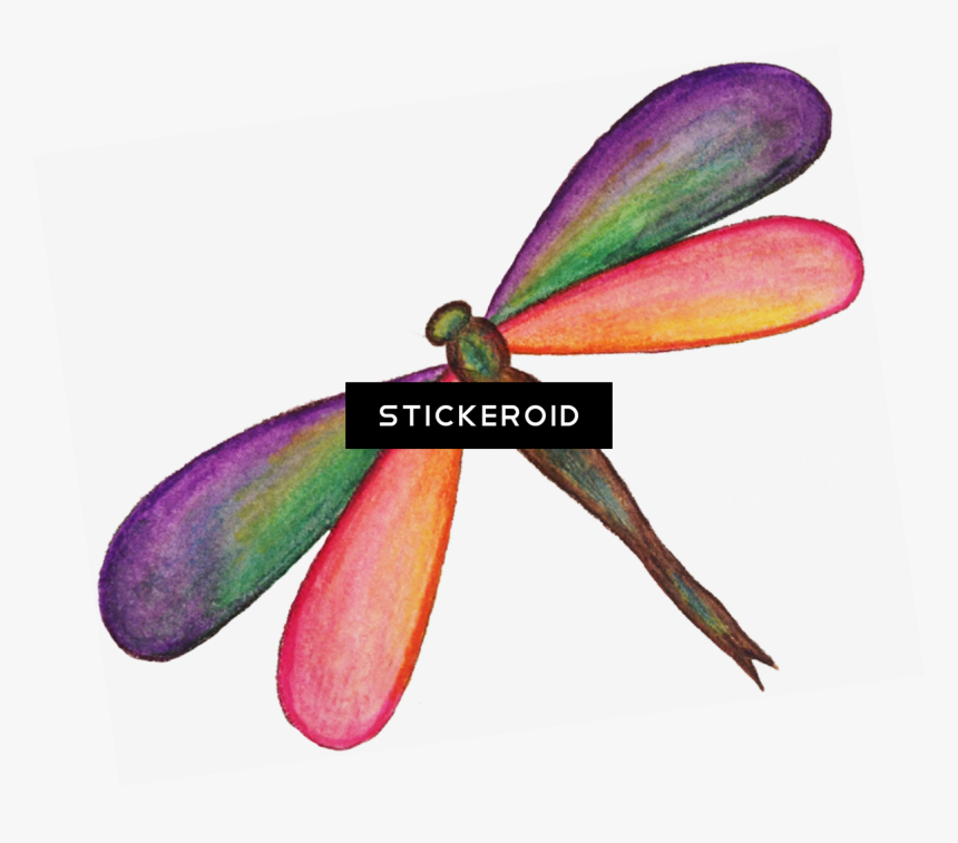 Dragonfly Hd Insects - Net-winged Insects, HD Png Download