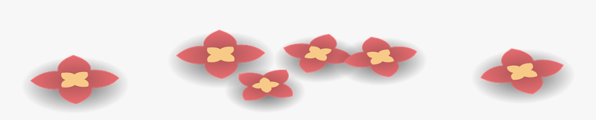 Flower Field, Flowers, Red, Blossoms, Blooming, Floral - Coquelicot, HD Png Download