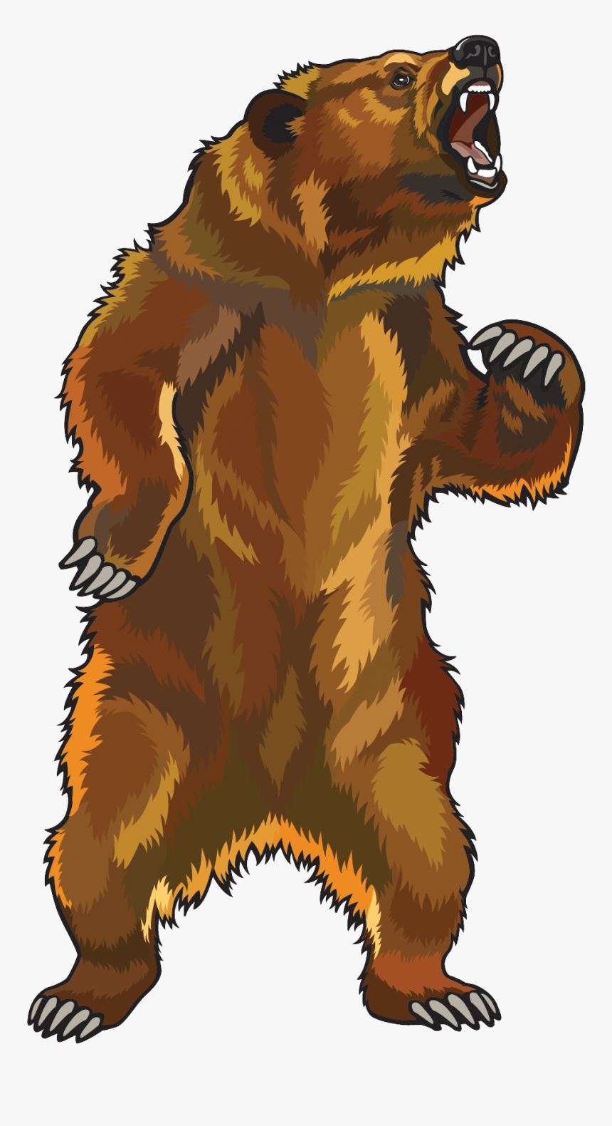 Standing Grizzly Bear Clipart, HD Png Download