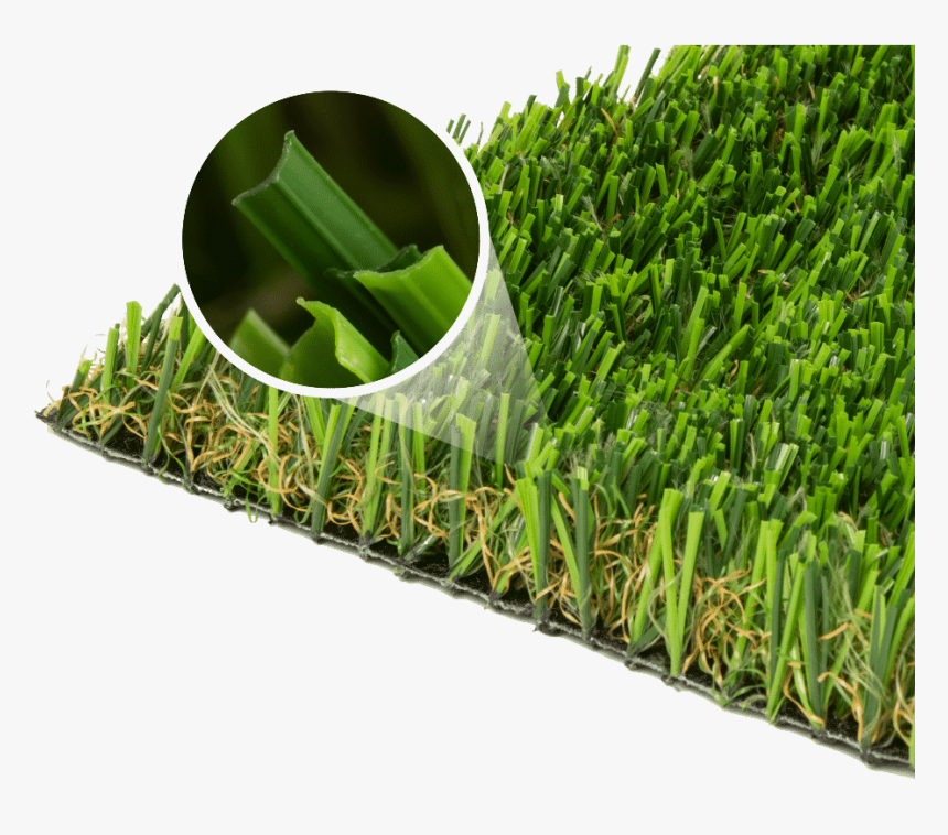 Sweet Grass, HD Png Download