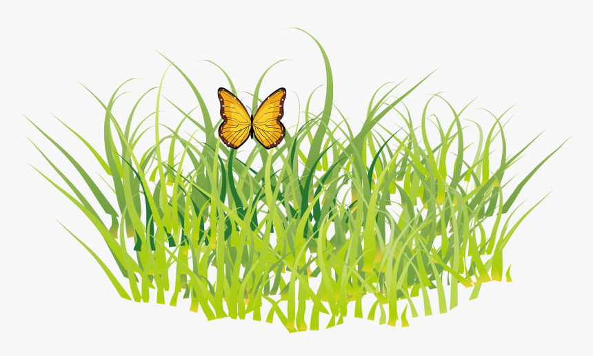 Butterfly Grass Gis - Golf Free Clipart, HD Png Download