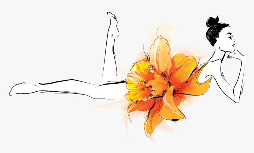 Orange Lily, HD Png Download