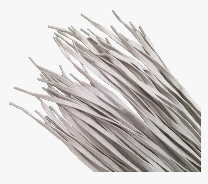 Shoelaces Png - White Pine, Transparent Png