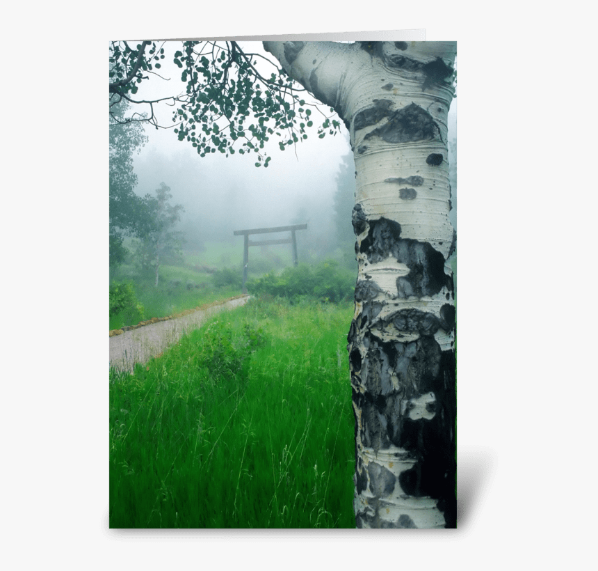 Aspen Gate Mist Greeting Card - Still Life, HD Png Download