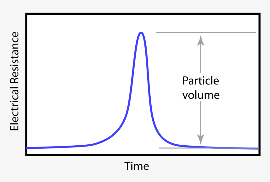 Diagram, HD Png Download