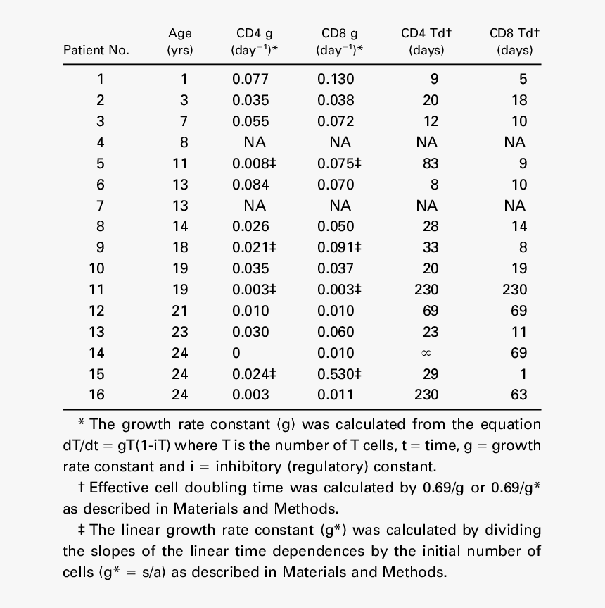 Document, HD Png Download