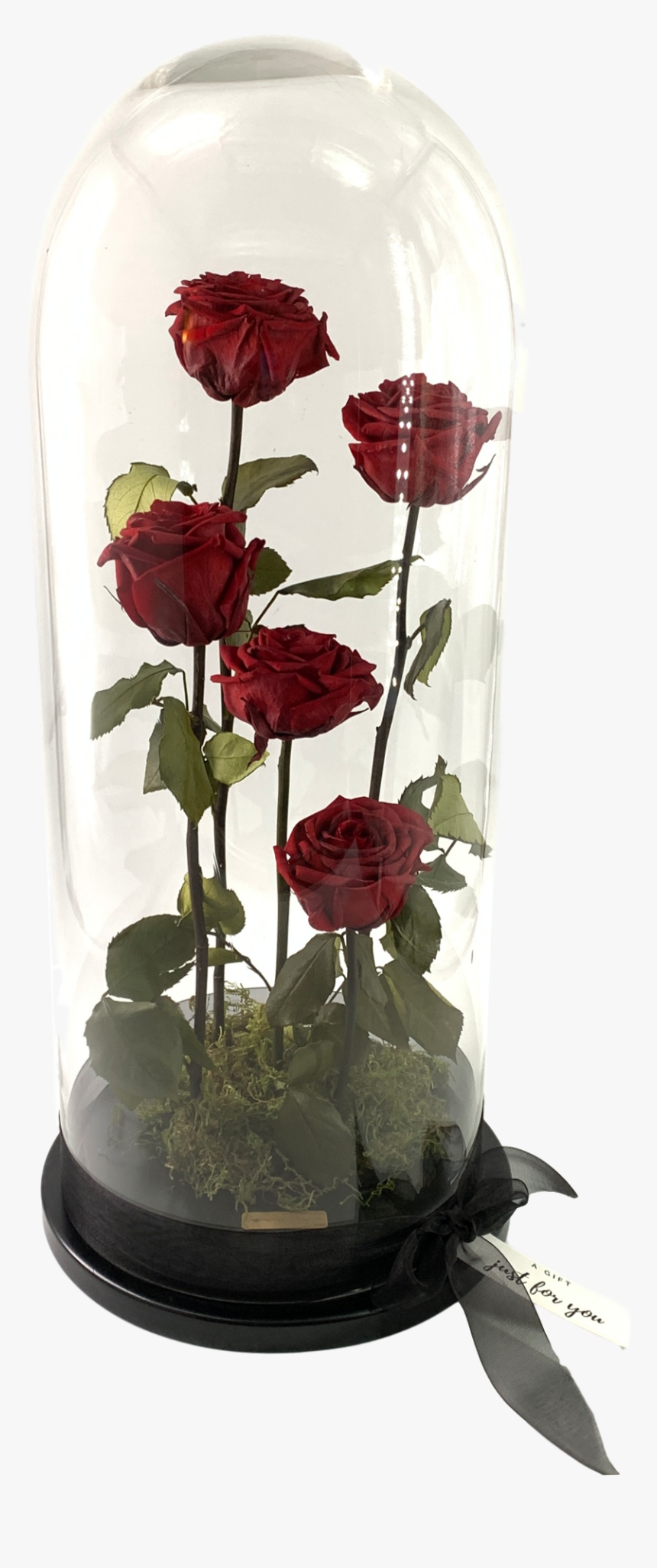 Garden Roses, HD Png Download