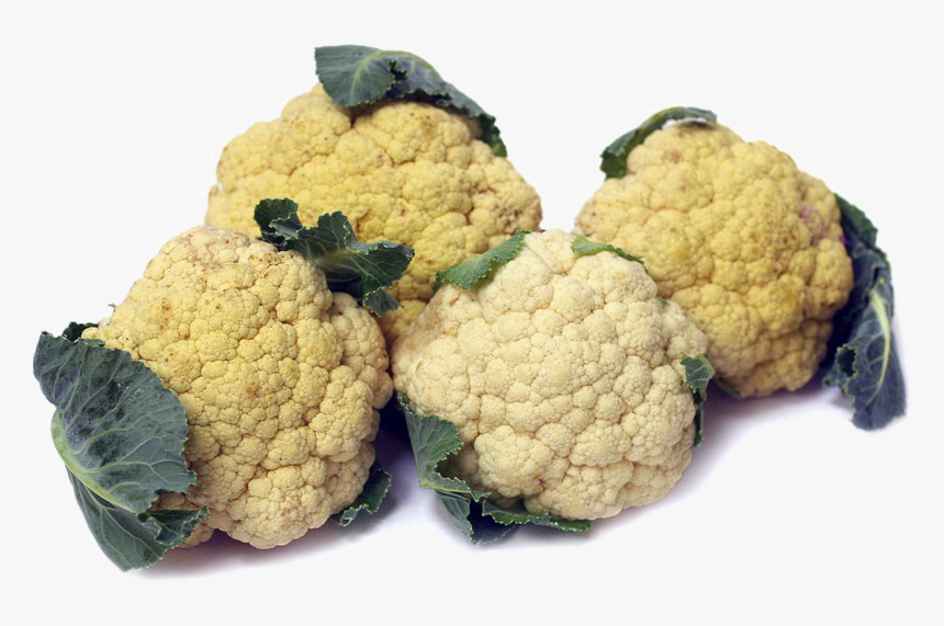 Cauliflower Png Image Free Download - Cauliflower, Transparent Png