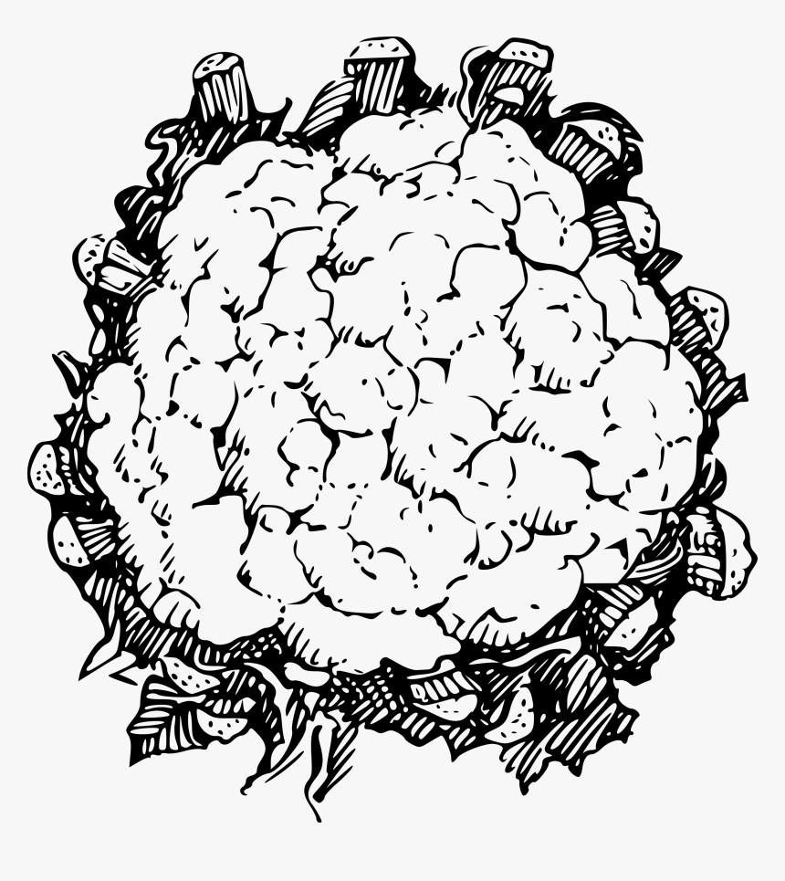 Cauliflower Clip Arts - Cauliflower Black And White, HD Png Download