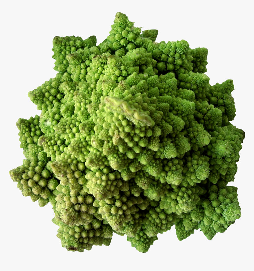 Cauliflower 2 Clip Arts - Vegetable, HD Png Download