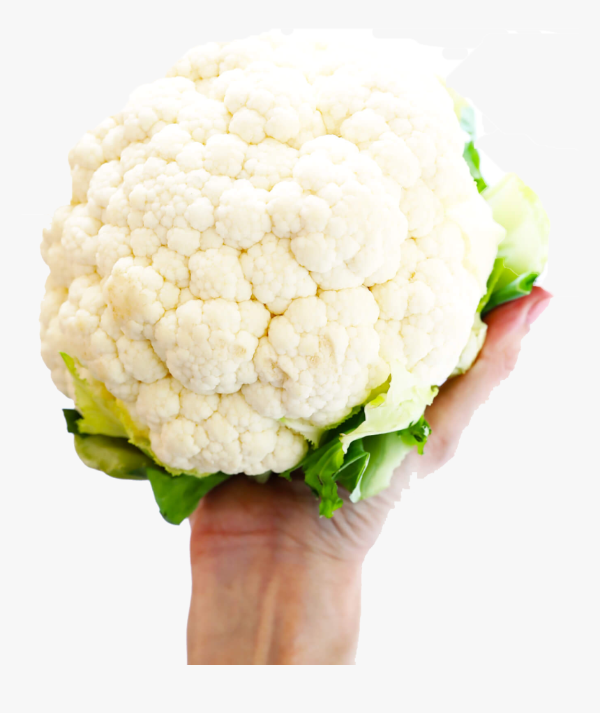 White Cauliflower Png Photo - Cauliflower, Transparent Png