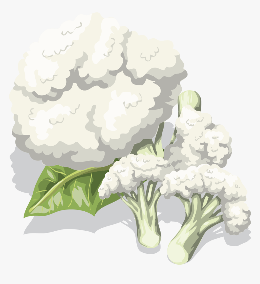 Cauliflower, HD Png Download