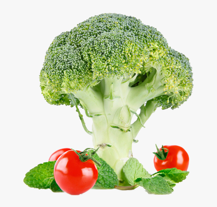 Vegetables Clipart Cauliflower - Italica Group, HD Png Download