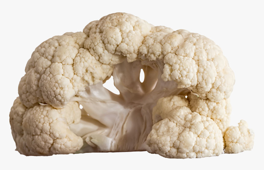 Plant,cauliflower,food, HD Png Download